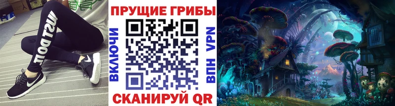 ОМГ ОМГ ссылки  Иркутск  Псилоцибиновые грибы ЛСД 