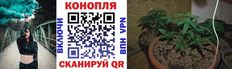 Конопля VHQ Иркутск